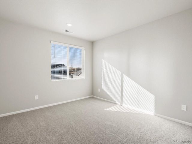 1625 Yampa River Dr, Windsor, CO 80550