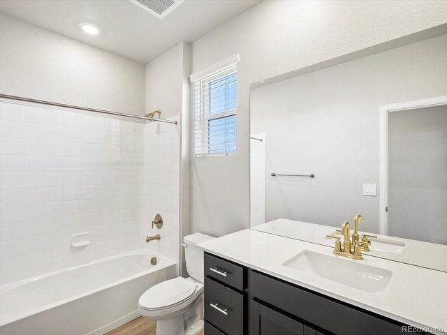 1625 Yampa River Dr, Windsor, CO 80550