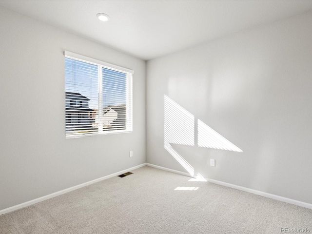 1625 Yampa River Dr, Windsor, CO 80550