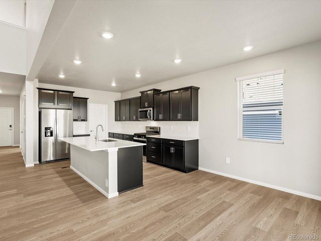 1625 Yampa River Dr, Windsor, CO 80550