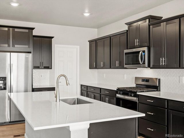 1625 Yampa River Dr, Windsor, CO 80550