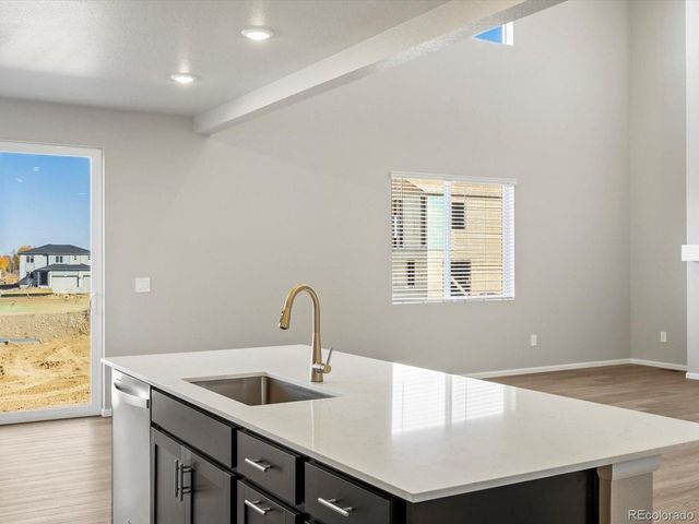 1625 Yampa River Dr, Windsor, CO 80550