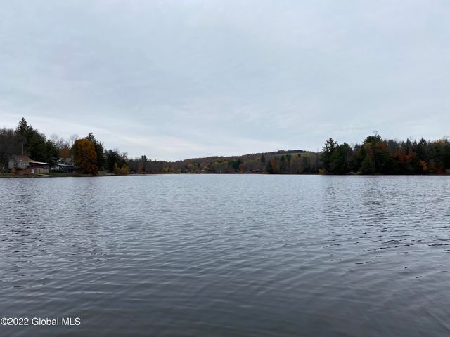 44 Abbey Road, Berne, NY 12023