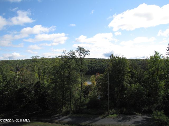 44 Abbey Road, Berne, NY 12023