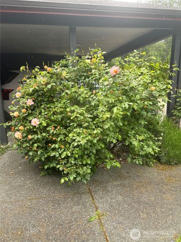 431 Fasola, Sequim, WA 98382