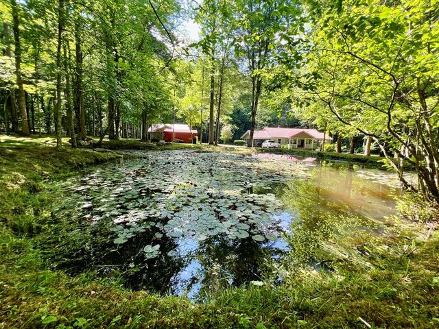 504 Compass Creek Drive, Hayesville, NC 28904