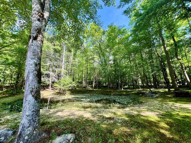 504 Compass Creek Drive, Hayesville, NC 28904