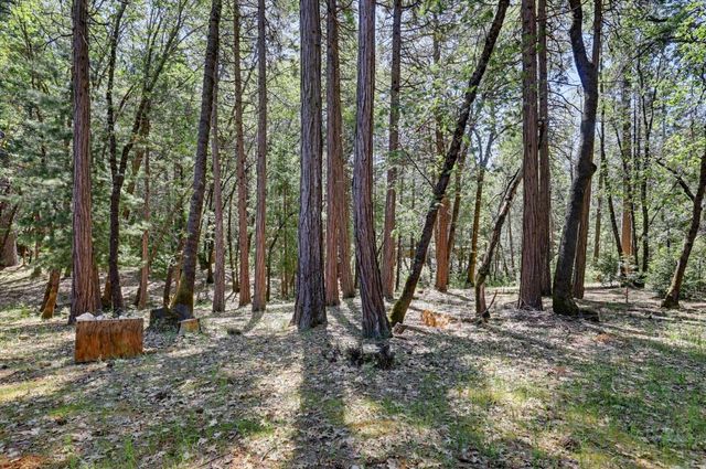14517 N Bloomfield Rd, Nevada City, CA 95959