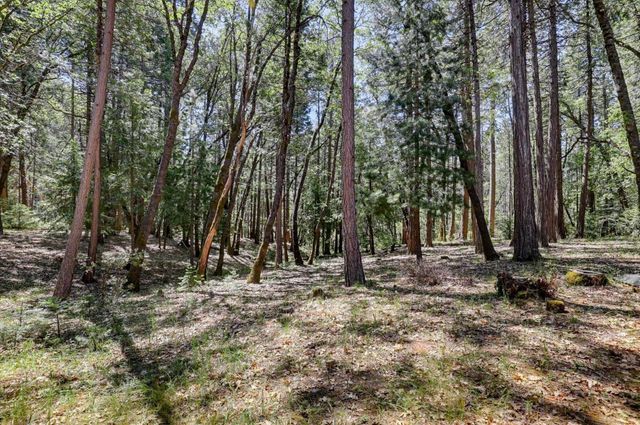 14517 N Bloomfield Rd, Nevada City, CA 95959