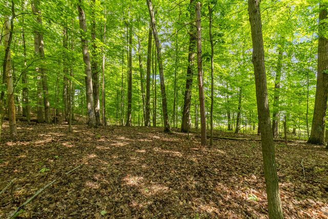 6009 Keeney Drive, Belvidere Twp, MI 48886