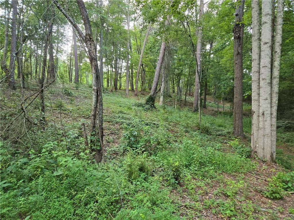 384 Tippens Road, Canton, GA 30114