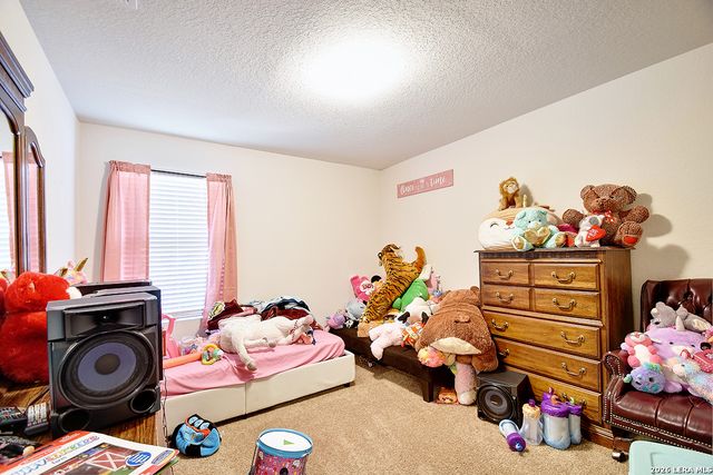 11803 Blackmore Leap, San Antonio, TX 78245