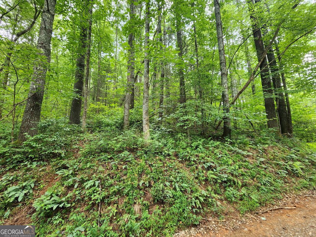 TRACT 2A Poplar Cove Trail, Suches, GA 30572