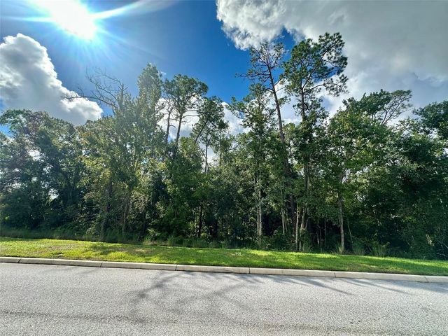 8511 PRIMROSE WILLOW PLACE, Odessa, FL 33556