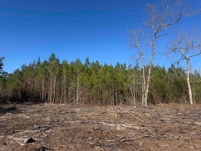 8862 Ware Dr., Nichols, SC 29581