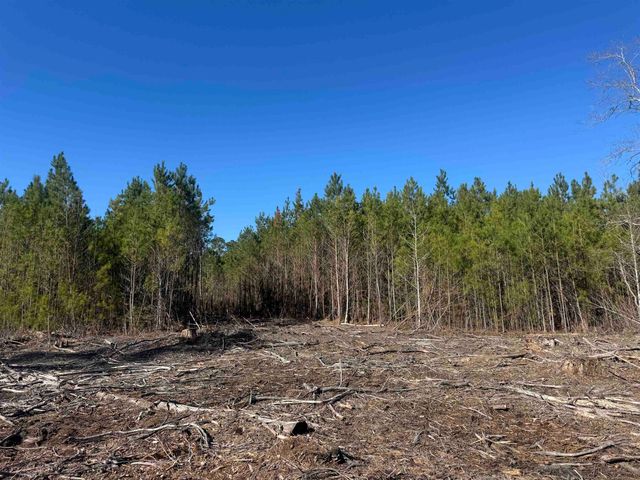 8862 Ware Dr., Nichols, SC 29581