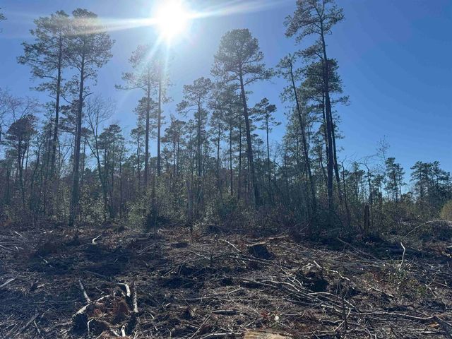 8862 Ware Dr., Nichols, SC 29581