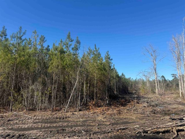 8862 Ware Dr., Nichols, SC 29581