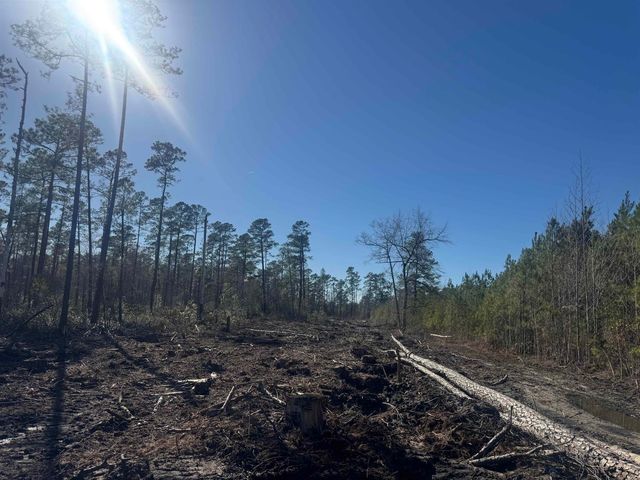 8862 Ware Dr., Nichols, SC 29581