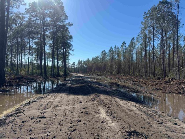 8862 Ware Dr., Nichols, SC 29581