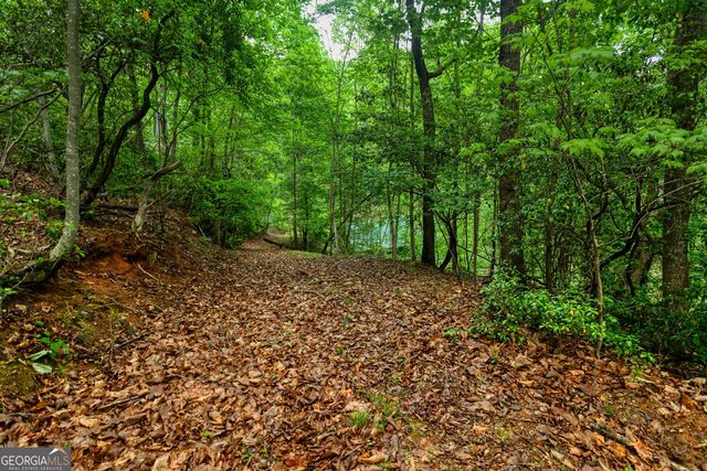 787 Glenns Drive, Sautee Nacoochee, GA 30571