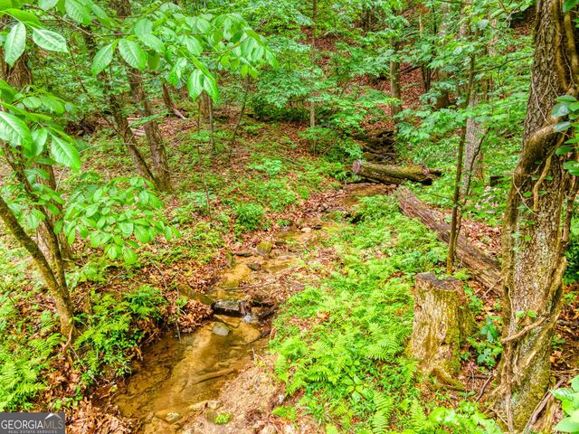 787 Glenns Drive, Sautee Nacoochee, GA 30571