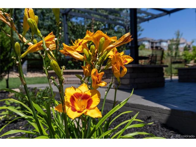 9519 Nile Way, Arvada, CO 80007