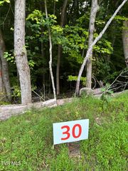 30 Fox Trott Pl, Unicoi, TN 37692