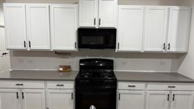 1917 Guntersville BND, Leander, TX 78641