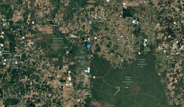 12131 SW 35TH DR, Webster, FL 33597