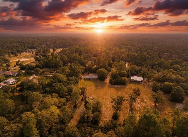 6493 Pappas Road, Waller, TX 77484