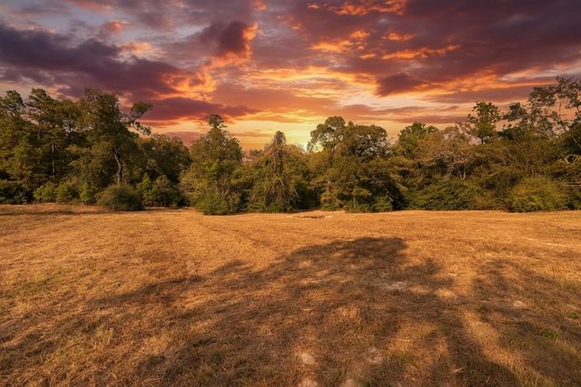 6493 Pappas Road, Waller, TX 77484