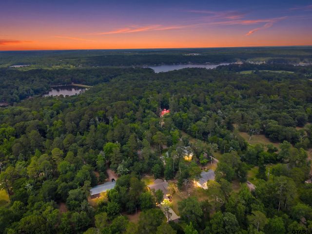 733 King Arthur Ct, Scroggins, TX 75480