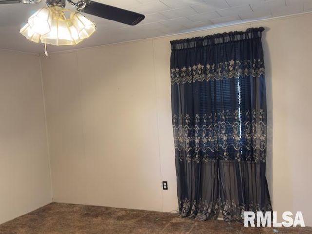 950 N 6TH Avenue, Canton, IL 61520