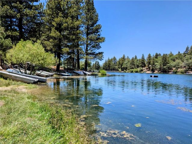 33459 Wild Cherry, Green Valley Lake, CA 92341