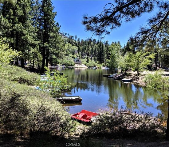 33459 Wild Cherry, Green Valley Lake, CA 92341