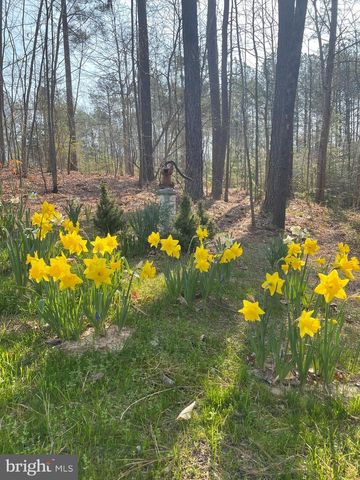 53 QUEEN LAURENS CT, Fredericksburg, VA 22406