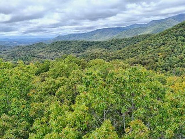 Lot 30 Skyview Drive, Hayesville, NC 28904