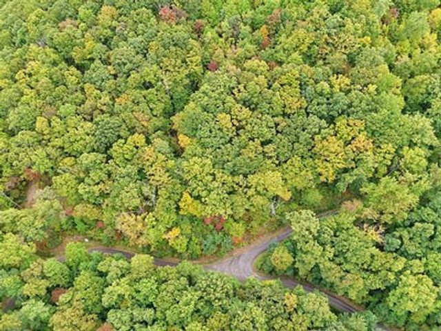 Lot 30 Skyview Drive, Hayesville, NC 28904