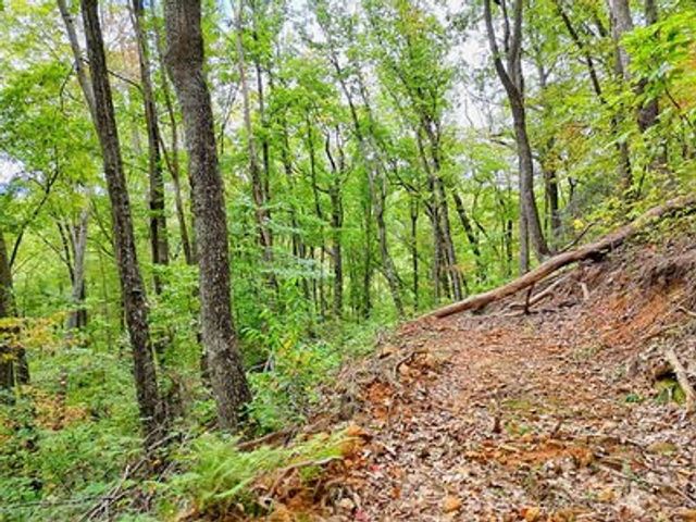 Lot 30 Skyview Drive, Hayesville, NC 28904