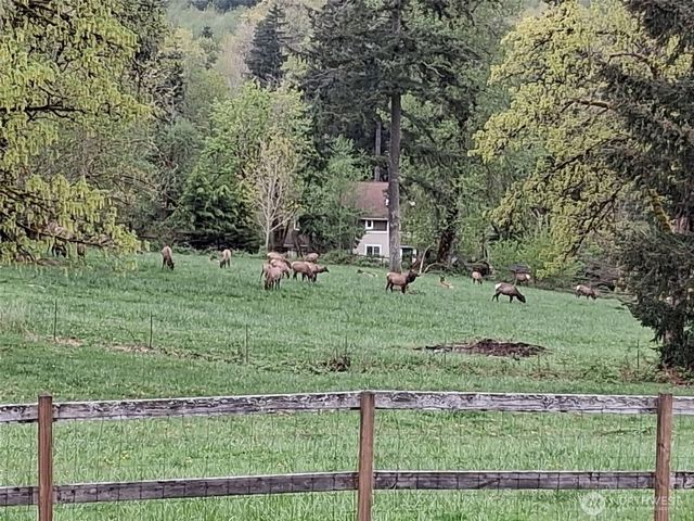 25906 272nd Avenue SE, Ravensdale, WA 98051