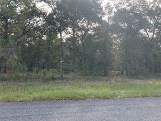 00 SE 136TH. LOT 9 TERRACE, Morriston, FL 32668