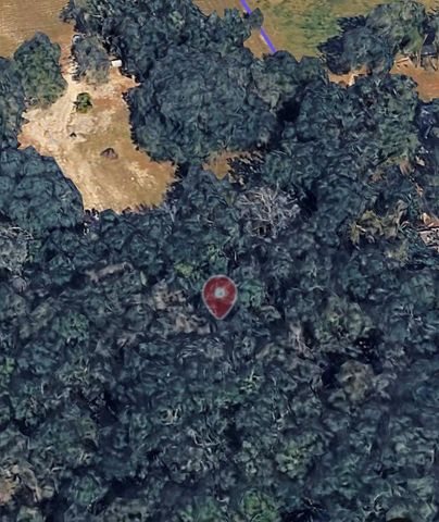 18016 SW 191ST AVENUE, Archer, FL 32618