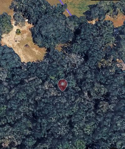 18016 SW 191ST AVENUE, Archer, FL 32618