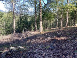 Lot 2 Buckhead Hills, Hiawassee, GA 30546