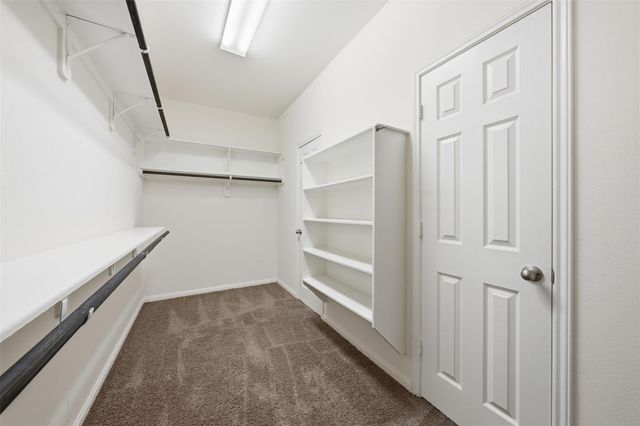 6411 St Placidia Drive, Spring, TX 77379