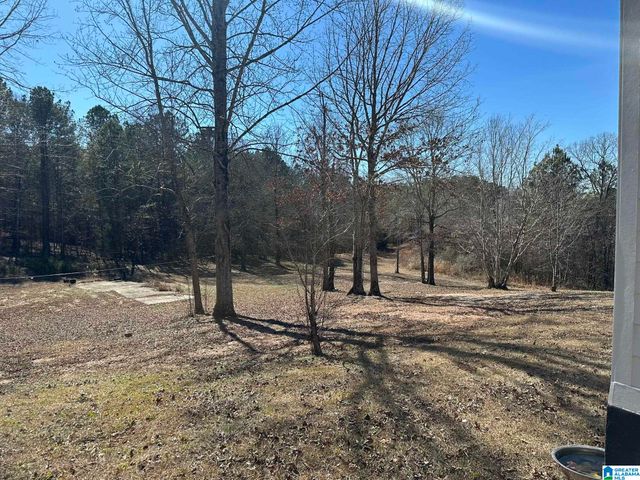 2953 E MARBLE VALLEY ROAD, Sylacauga, AL 35151