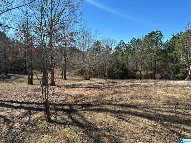 2953 E MARBLE VALLEY ROAD, Sylacauga, AL 35151