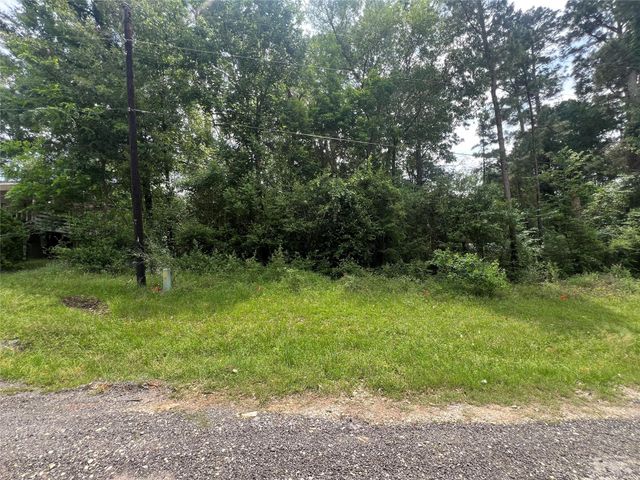 TBD Ibex S, Onalaska, TX 77360