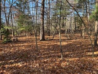 V/L Bedeau Street, Montague, MI 49437